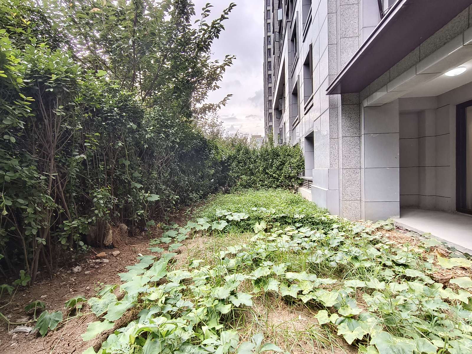 稀缺底复400平上中下三层，可押一付一住家办公直播放仓库均可