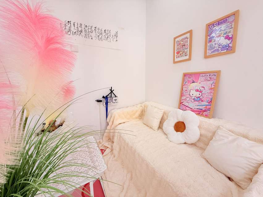 蜀山区一户室50平米正南9层