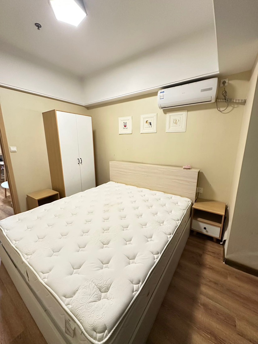滨湖新地城 两室一厅｜网红精装 全屋配套齐全 拎包入住