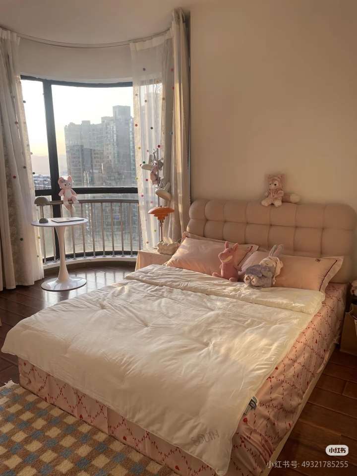 港汇广场 朝阳好晾晒 押一付一 精装一室