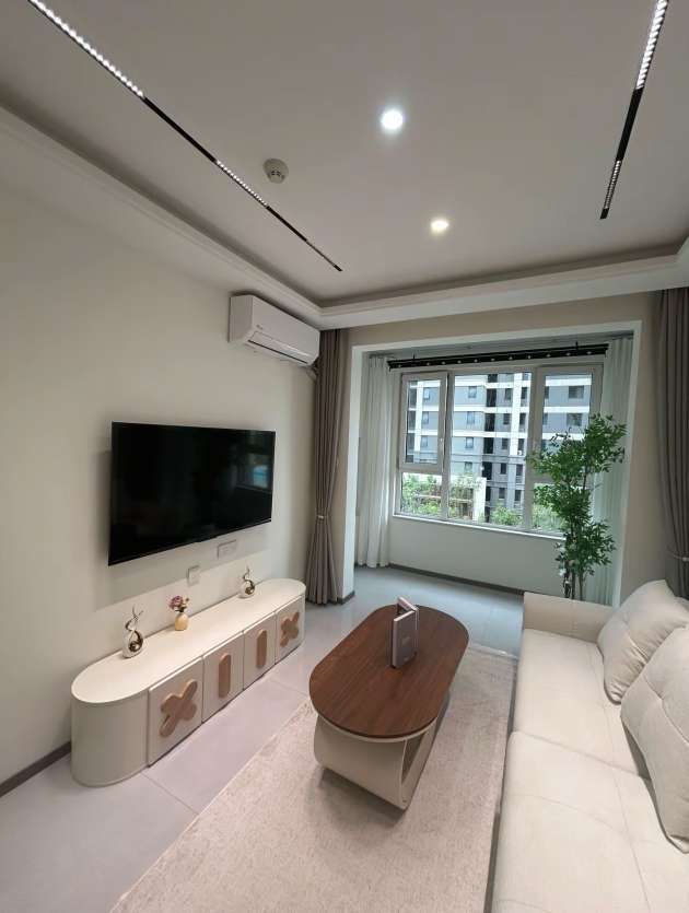 临湖社区 大众 蔚来汽车 经纬 美菱工业园 晶弘电器 可月付