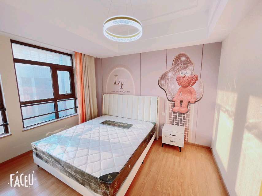 个人直租，三里庵国购广场之心城对面登云庭安农大主卧次卧独卫