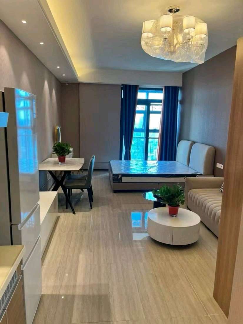 金枫苑一室一厅一卫一厨，随时拎包入住